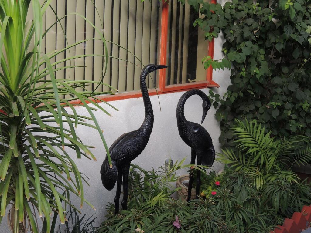 Casa Larrea Inn Παλμ Ντέζερτ Εξωτερικό φωτογραφία